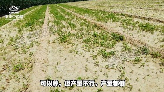 安國(guó)北跑藥廠最新招聘啟事，安國(guó)北跑藥廠最新招聘啟事，職位空缺及申請(qǐng)指南