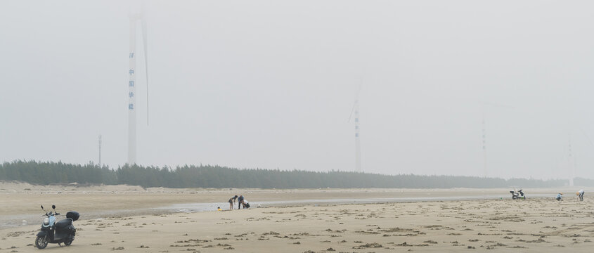 湛江南三島最新新聞報道，湛江南三島最新新聞動態(tài)速遞