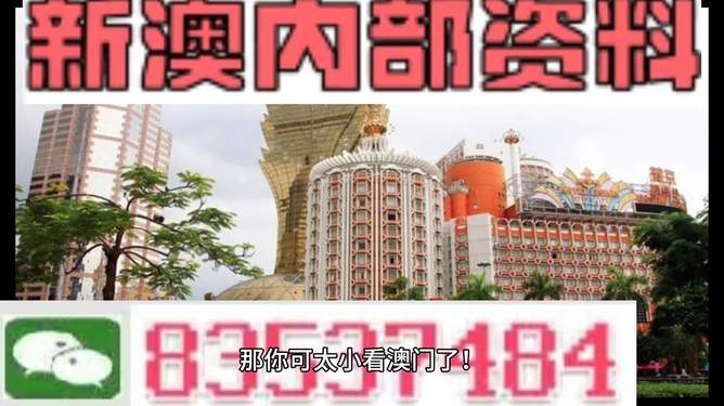 澳門內(nèi)部資料精準(zhǔn)大全2023——警惕違法犯罪風(fēng)險(xiǎn)，澳門內(nèi)部資料精準(zhǔn)大全背后的風(fēng)險(xiǎn)，警惕違法犯罪威脅 2023年警惕篇