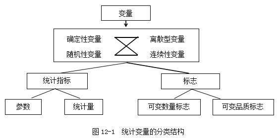 澳門江左梅郎免費(fèi)資料,統(tǒng)計(jì)分析解釋定義_SHD55.618