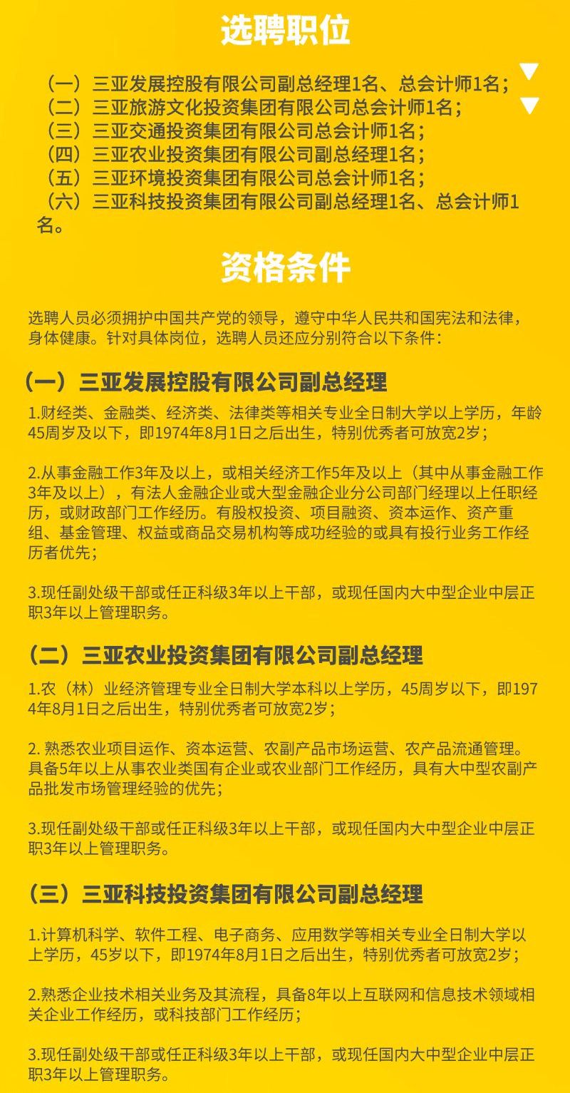 三亞招聘司機(jī)最新信息，探索就業(yè)機(jī)會(huì)的熱門指南，三亞最新司機(jī)招聘信息與就業(yè)指南