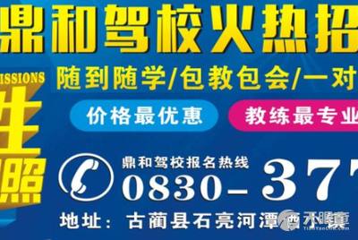 龍崗坑梓最新招聘司機信息，探索職業(yè)發(fā)展的無限可能，龍崗坑梓最新司機招聘信息，職業(yè)發(fā)展的無限機遇探索