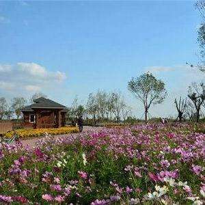 官港森林公園最新消息，官港森林公園最新動態(tài)報(bào)道