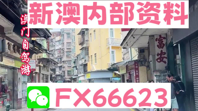 新奧精準(zhǔn)免費(fèi)資料提供，探索與啟示，新奧精準(zhǔn)免費(fèi)資料探索，啟示與分享