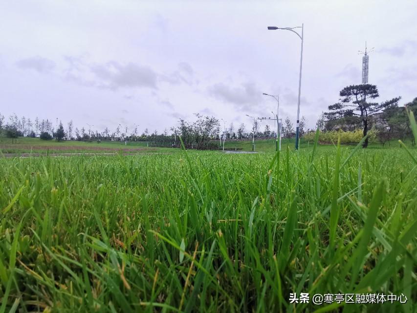 最新降雨量分析與預(yù)測，全球各地的降雨趨勢及其影響，全球最新降雨量分析與預(yù)測，降雨趨勢及其全球影響概述