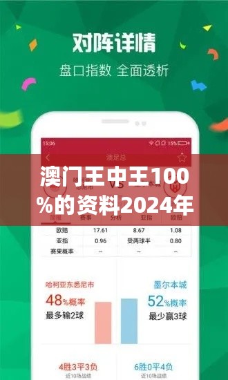 澳門王中王100期期中一期林,快速設計問題解析_N版13.440