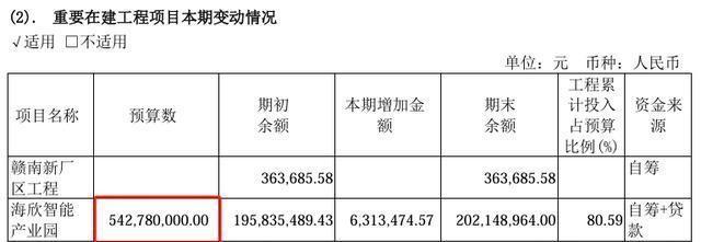 海欣股份目標(biāo)價30元的投資邏輯與市場展望，海欣股份目標(biāo)價30元，投資邏輯與市場展望分析