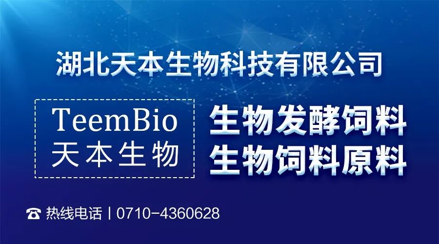 掌握最新情況，與時俱進的關鍵所在，掌握最新情況，與時俱進的關鍵所在