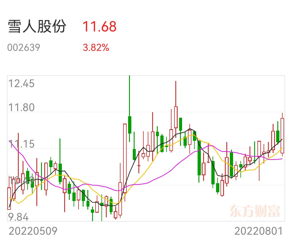 雪人股份可能面臨收購，機遇與挑戰(zhàn)并存，雪人股份面臨收購，機遇與挑戰(zhàn)并存