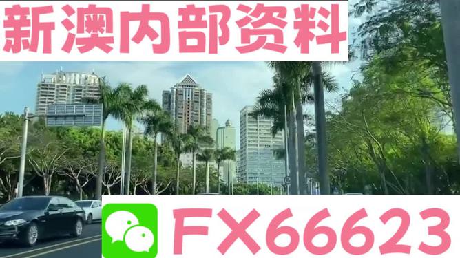 新澳精準(zhǔn)資料免費(fèi)提供，探索第510期的價(jià)值與奧秘，新澳第510期資料揭秘，探索價(jià)值與奧秘的精準(zhǔn)指南