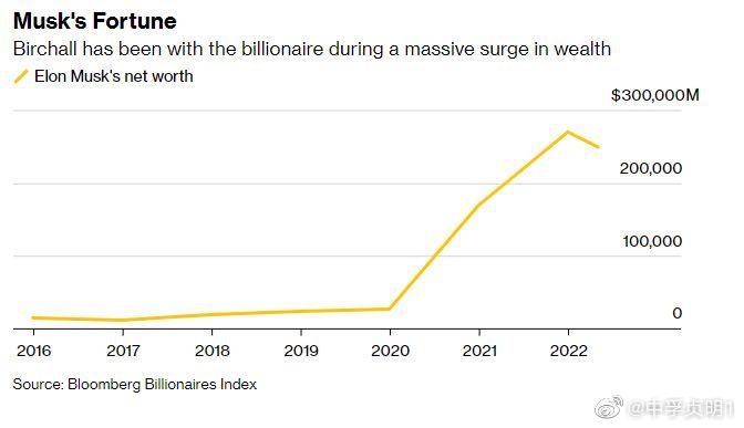 馬斯克財富增長1190億美元，探索新財富時代的引領(lǐng)者，馬斯克引領(lǐng)新財富時代，財富增長達1190億美元