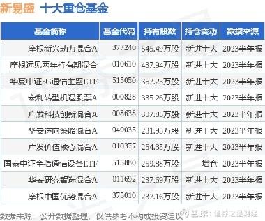 新易盛股吧，探索未來(lái)金融的新領(lǐng)域，新易盛股吧，探索未來(lái)金融新領(lǐng)域的前沿陣地