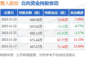 雪人股份目標(biāo)價2024年，深度分析與展望，雪人股份2024年目標(biāo)價深度分析與展望