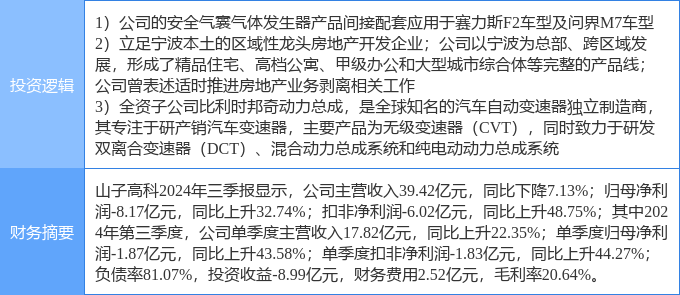 山子高科未來潛力，探索與前瞻，山子高科未來潛力展望與前瞻探索