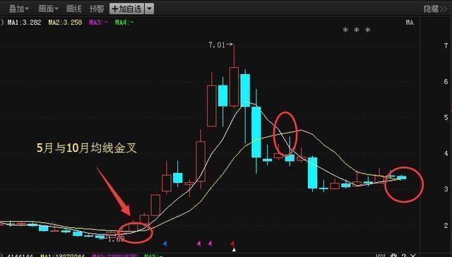 揭秘2024年有望翻十倍的低價股，投資新機遇與挑戰(zhàn)，揭秘未來潛力低價股，投資新機遇與挑戰(zhàn)，2024年有望翻十倍增長潛力股解析