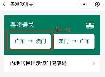 澳門碼資料與違法犯罪問題，澳門碼資料與違法犯罪問題探究