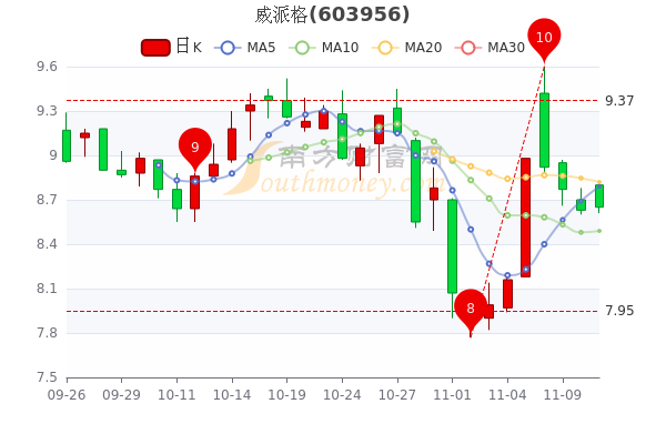 威派格9.88%最新消息全面解析，威派格最新動(dòng)態(tài)解析，9.88%消息一覽無余