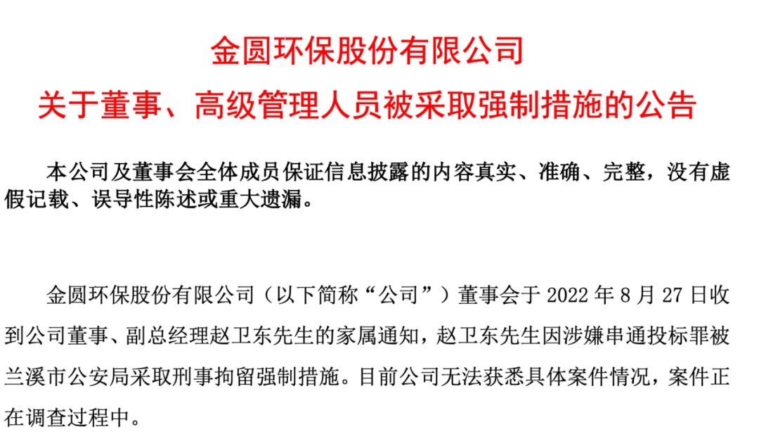 實(shí)控人被刑拘背后的股票大漲現(xiàn)象深度解析，實(shí)控人被刑拘背后的股票大漲現(xiàn)象揭秘