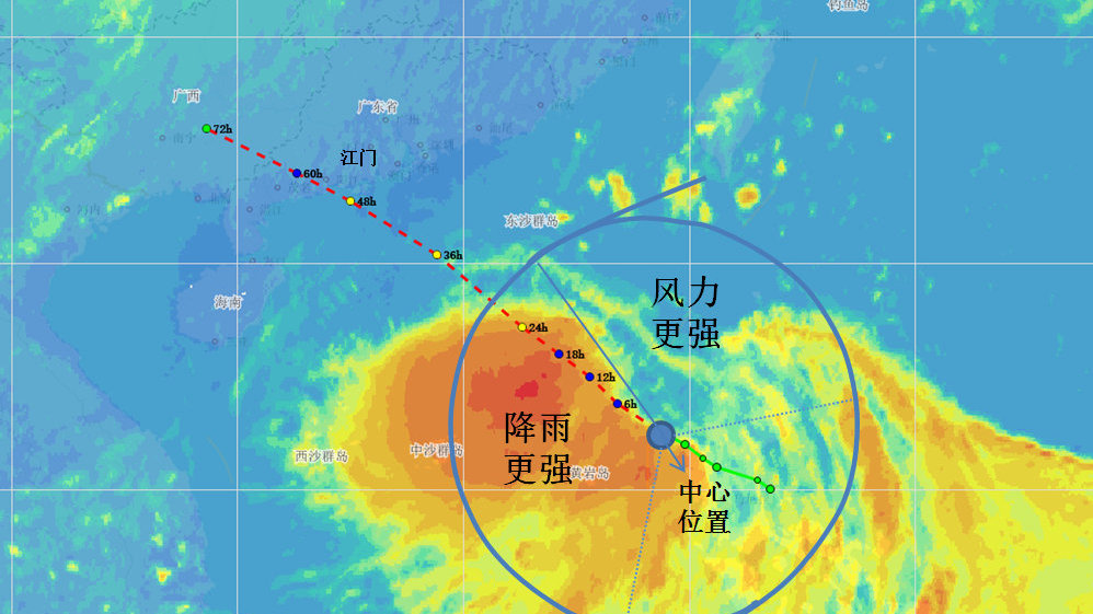 臺風鸚鵡最新動態(tài)，影響與應對措施，臺風鸚鵡最新動態(tài)，影響及應對策略