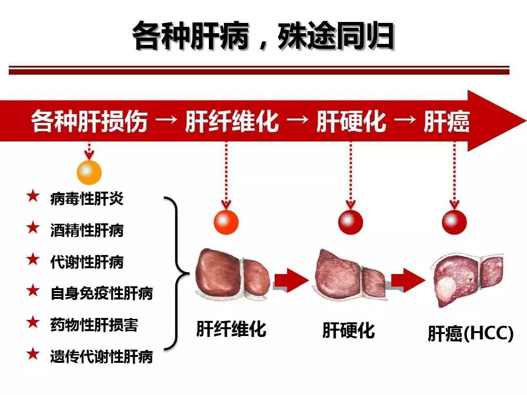 最新肝炎癥狀及其影響，理解、預(yù)防與應(yīng)對，最新肝炎癥狀、影響、預(yù)防與應(yīng)對策略解析