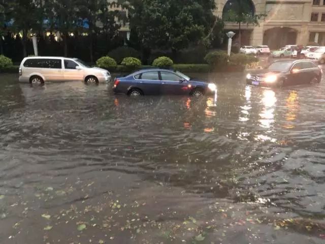 青島大暴雨最新情況報(bào)告，青島大暴雨最新情況報(bào)告，暴雨影響及應(yīng)對(duì)措施分析