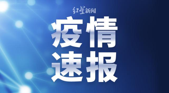 湖南最新肺炎確診情況分析，湖南最新肺炎疫情確診情況分析