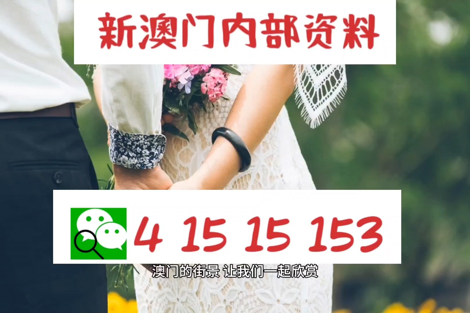 澳門正版資料免費大全新聞——揭示違法犯罪問題的重要性，澳門正版資料免費大全新聞，揭示違法犯罪問題的重要性與影響