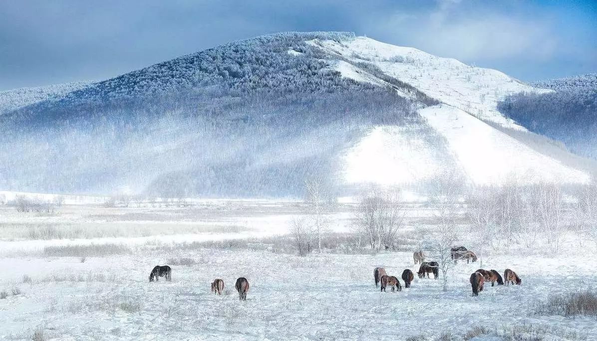 國(guó)內(nèi)哪里雪景最美——探尋中國(guó)最美的雪景勝地，中國(guó)最美的雪景勝地探尋之旅