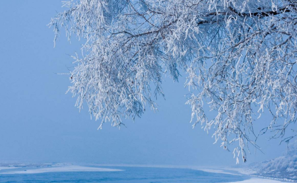 哪里可以看雪，一場關于雪景的探尋之旅，雪景探尋之旅，踏遍千山萬水只為那一場雪的美景