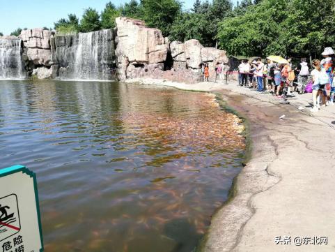 哈爾濱必去四大景點(diǎn)探訪指南，哈爾濱四大必去景點(diǎn)探訪攻略