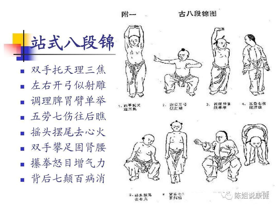 紫凝最新資料概覽，紫凝最新資料概覽全解析