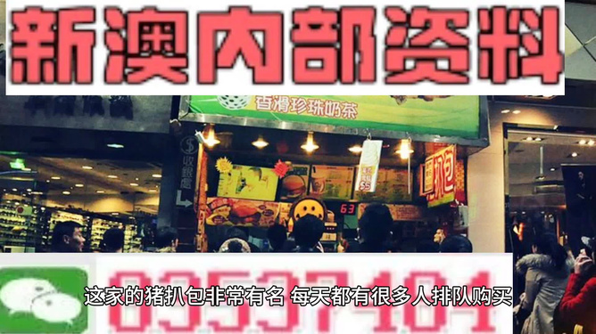 新奧天天精準(zhǔn)資料大全，探索與洞察，新奧天天精準(zhǔn)資料大全，探索與洞察的洞察