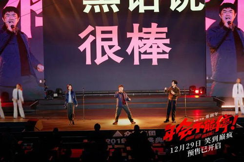 年會盛宴，星光璀璨，演員表全名單揭秘，年會盛宴，星光璀璨——演員全名單揭秘之夜