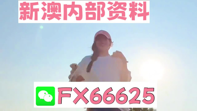 揭秘彩票背后的神秘?cái)?shù)字，精準(zhǔn)一肖與數(shù)字組合的魅力，彩票背后的神秘?cái)?shù)字揭秘，精準(zhǔn)一肖與數(shù)字組合的魅力探索