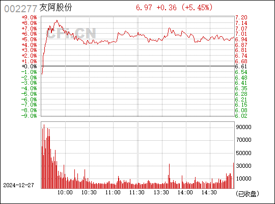 友阿股份，商業(yè)領(lǐng)域的卓越典范，友阿股份，商業(yè)領(lǐng)域的璀璨明珠