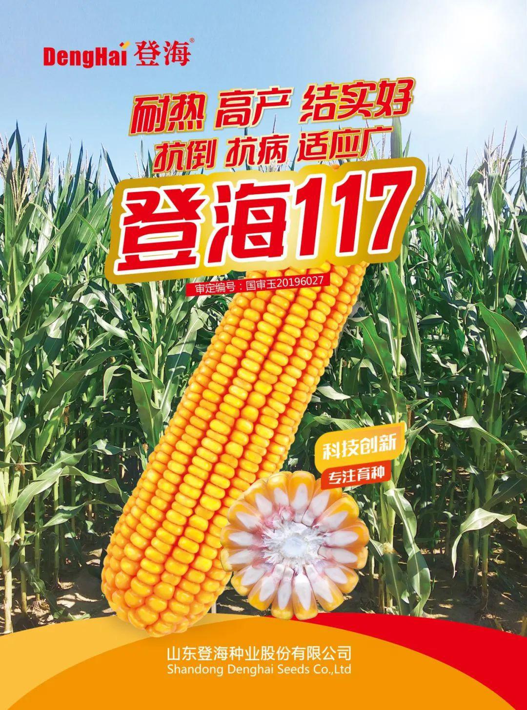 霧中仙子 第23頁