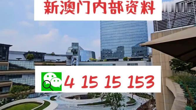 新澳門單雙王，游戲魅力與策略探討，澳門單雙王游戲魅力與策略解析