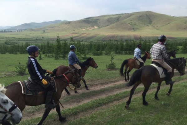 澳門特馬今晚開獎(jiǎng)，探尋彩票背后的故事與期待，澳門特馬今晚開獎(jiǎng)，探尋彩票背后的故事與期待之夜