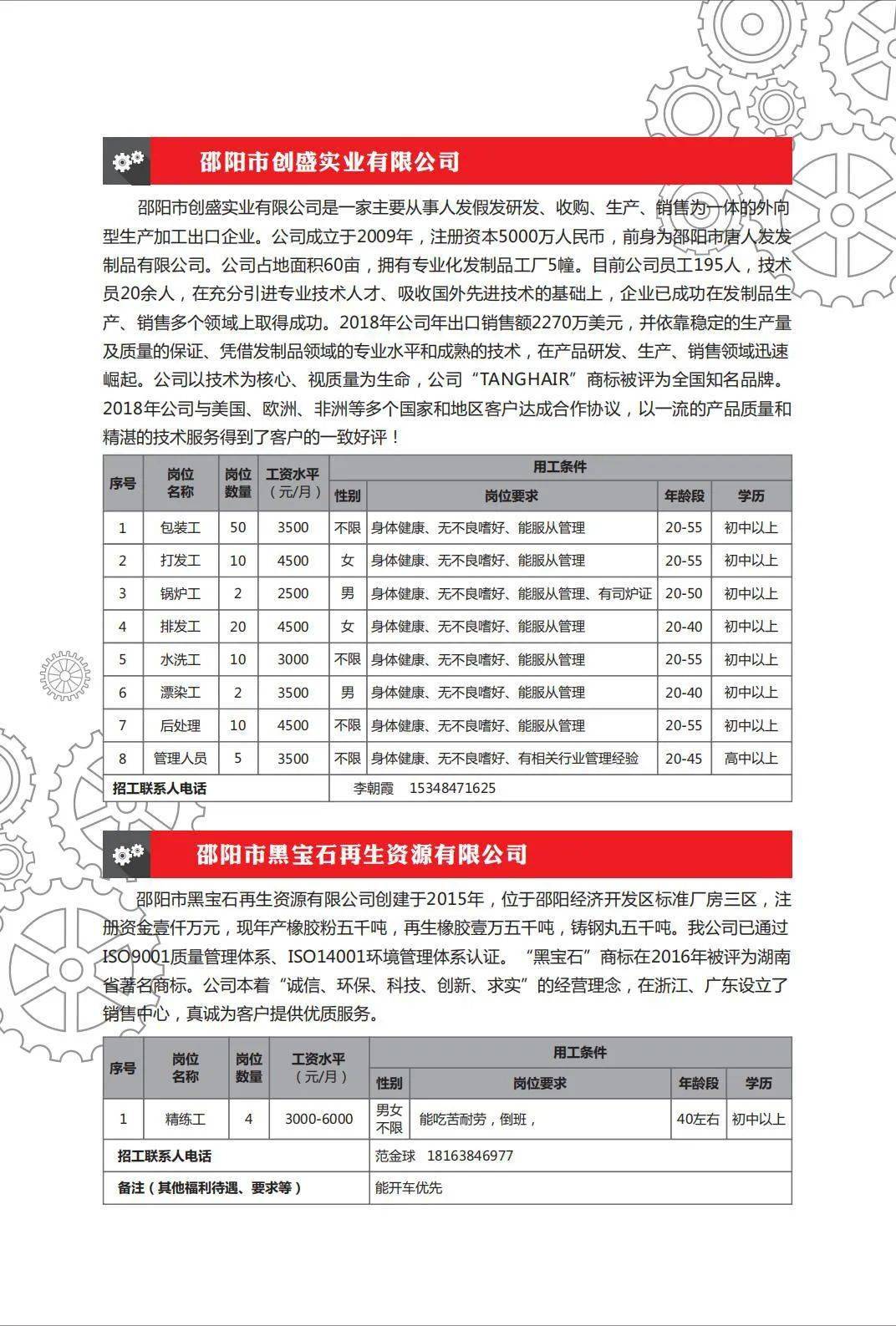 邵陽市招聘網(wǎng)最新招聘動(dòng)態(tài)深度解析，邵陽市招聘網(wǎng)最新動(dòng)態(tài)深度解析