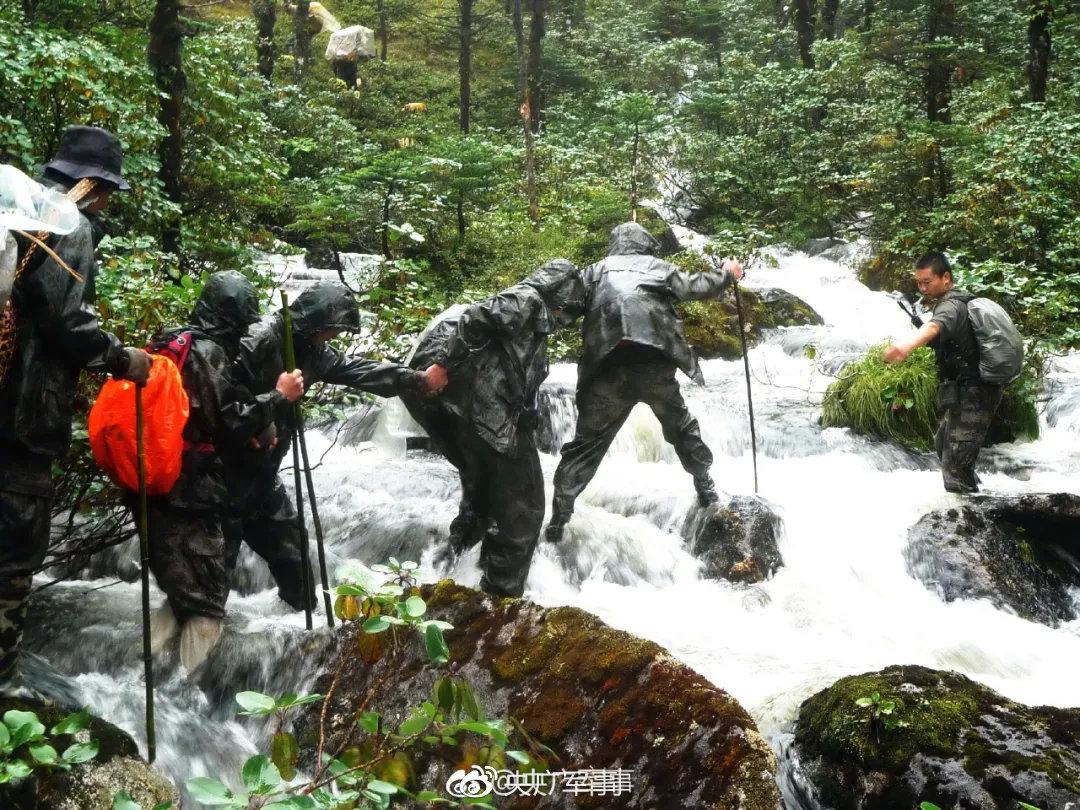 央廣軍事，權威軍事媒體的級別與影響力，央廣軍事，權威軍事媒體的級別與影響力概述