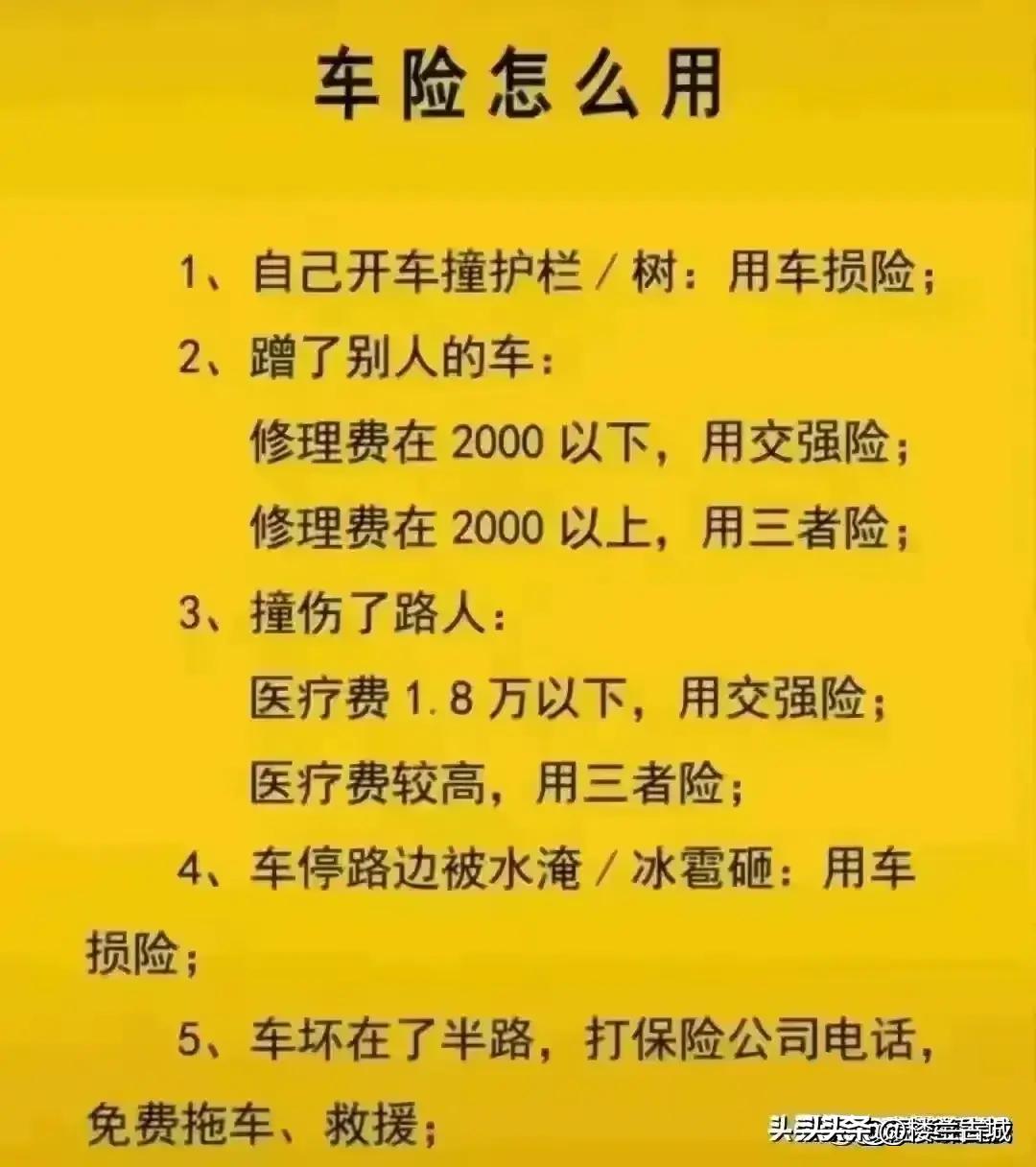 參考消息數(shù)字報，重塑新聞行業(yè)的數(shù)字化先鋒，重塑新聞行業(yè)先鋒，數(shù)字化引領(lǐng)下的參考消息數(shù)字報時代