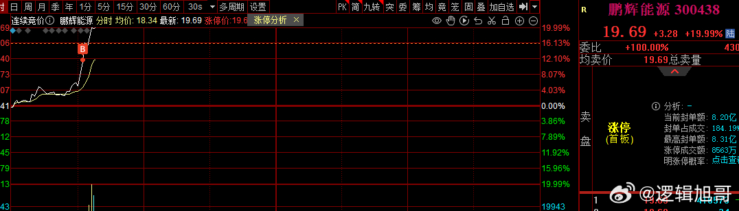 關(guān)于股票300438的全面解析，股票300438全方位深度解析