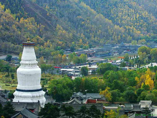 五臺山景區(qū)，歷史與自然共融的佛教圣地，五臺山景區(qū)，歷史與自然共融的佛教圣地之旅