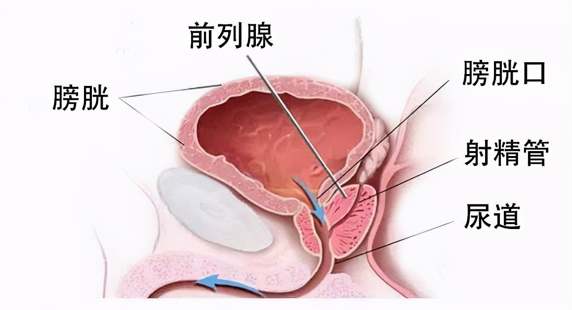 第52頁