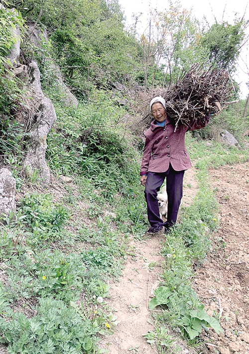 農(nóng)村中老年人征婚，尋找幸福晚年的新起點(diǎn)，農(nóng)村中老年征婚，晚年幸福的起點(diǎn)之路