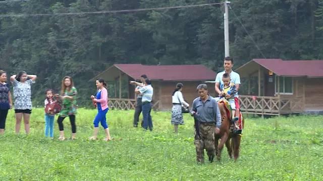 公益相親平臺(tái)，搭建愛(ài)的橋梁，助力幸福人生，公益相親平臺(tái)，搭建愛(ài)的橋梁，共創(chuàng)幸福人生之旅