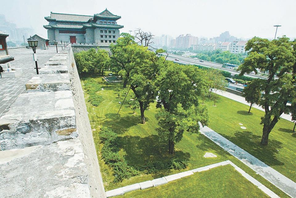 北京哪個公園最值得去，探尋城市綠肺的奧秘，探尋北京城市綠肺，哪個公園最值得一游？