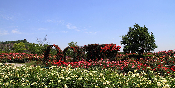 上海辰山植物園門票價格詳解，上海辰山植物園門票價格全解析