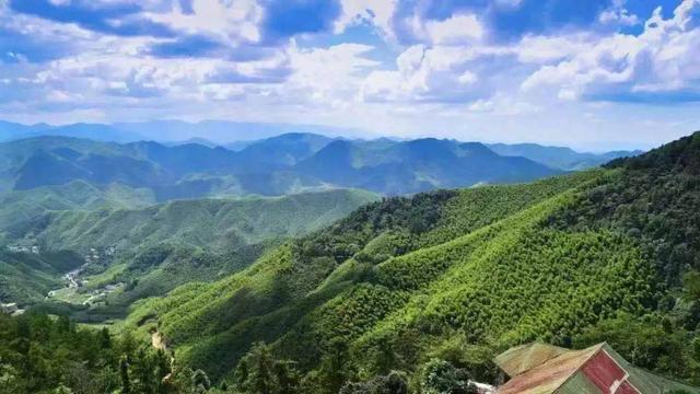 莫干山風(fēng)景名勝區(qū)，自然與人文的絕美交融，莫干山風(fēng)景名勝區(qū)，自然與人文的絕美交融之旅