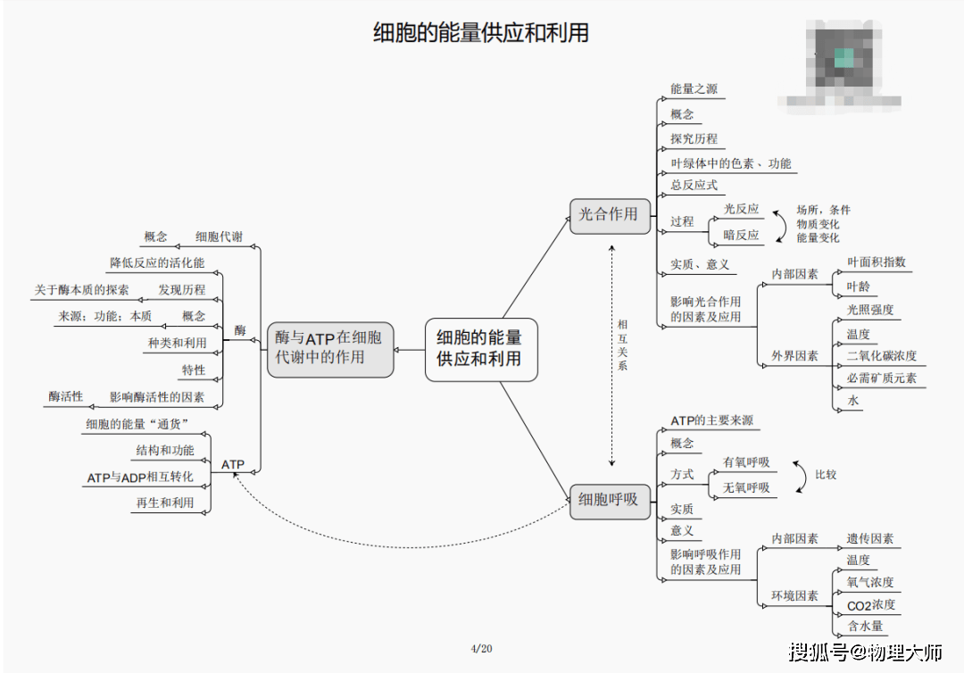 預(yù)測(cè)展望（或生肖預(yù)測(cè)）